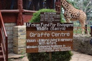 Giraffe Centre, Nairobi