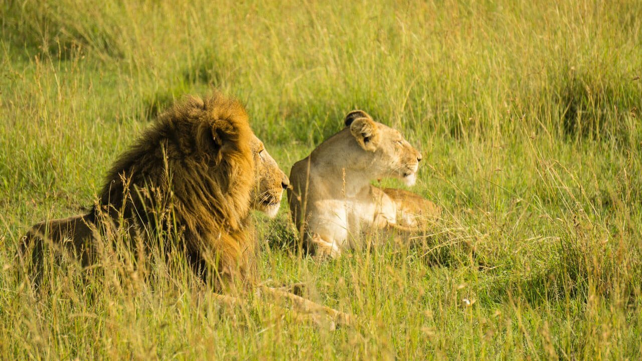 10 Best Kept Secrets in Kenya