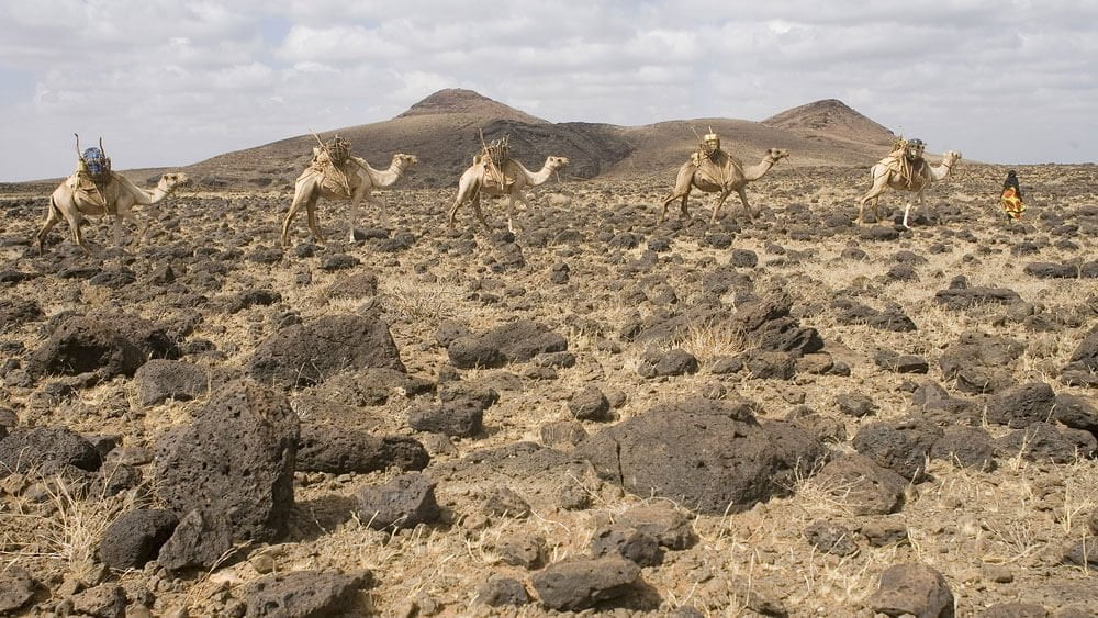 CHALBI DESERT, KENYA