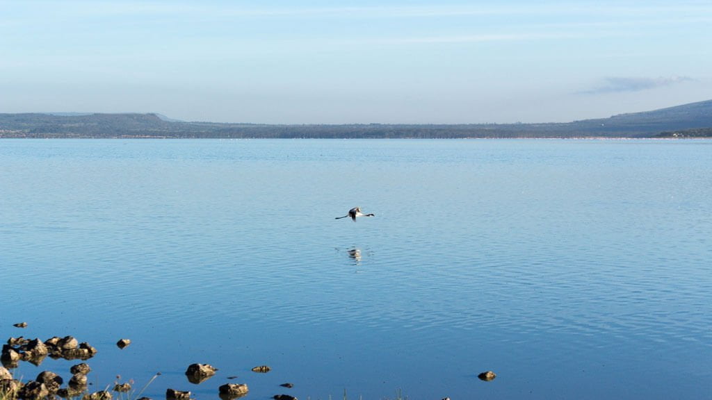 Camp Oasis, Lake Naivasha, Kenya