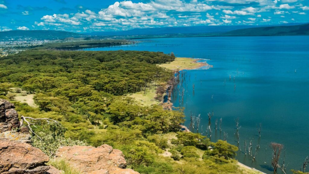 Shores of Lake Nakuru