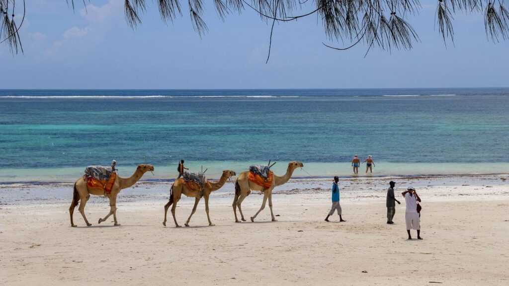 Beaches in Kenya