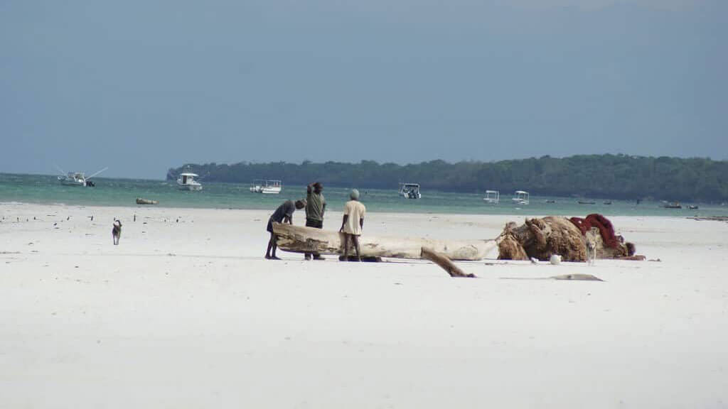 Galu Beach. Kenya - Beaches in Kenya