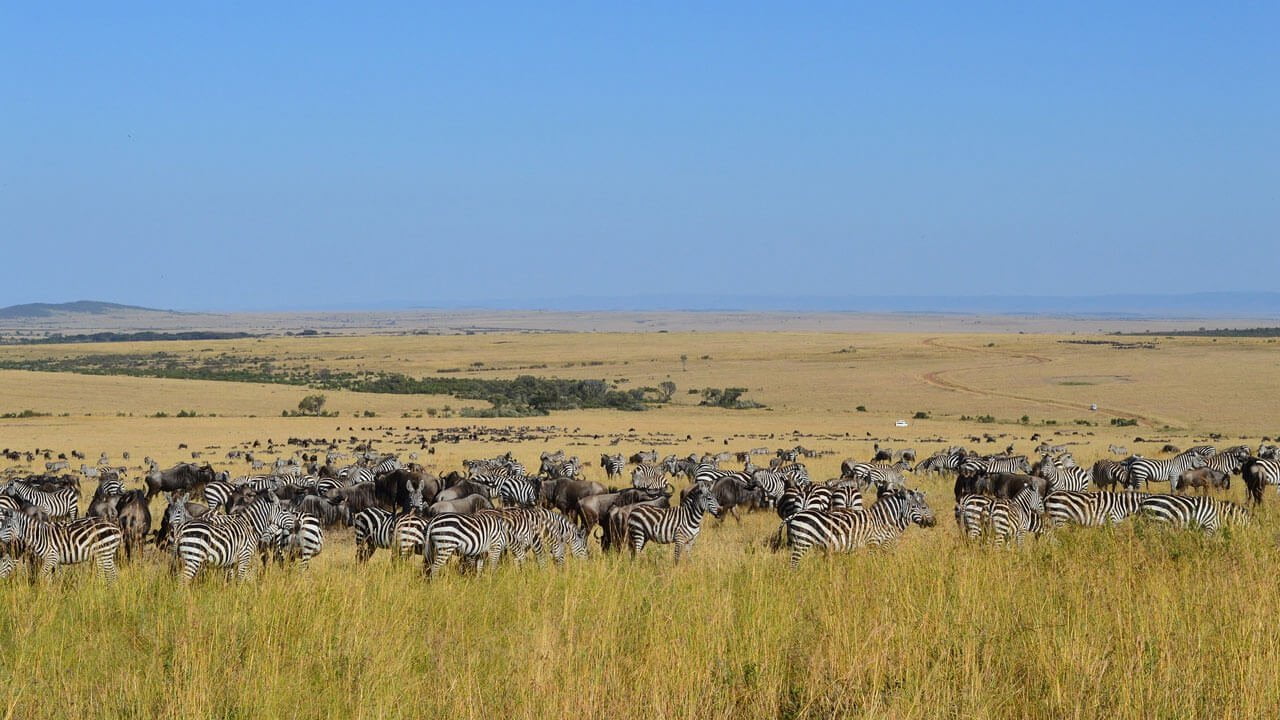 Top Destinations to Visit in Kenya