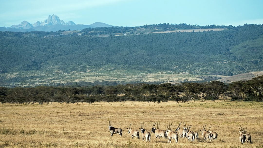 Mount Kenya Region - Top Destinations to Visit in Kenya