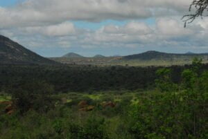 Tsavo West National Park