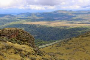 Aberdare National Park