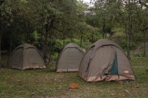 Kisumu Impala Sanctuary camping site