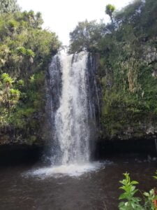 Aberdare National Park