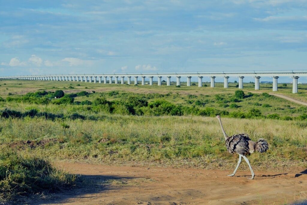 Nairobi national park with Nairobi city