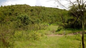 Hyrax Hill Pre-Historic Site in Nakuru Kenya