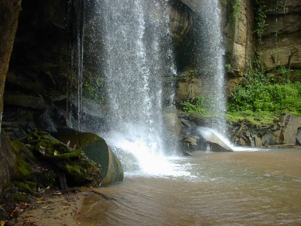 Sheldrick’s Falls Shimba Hills National Reserve