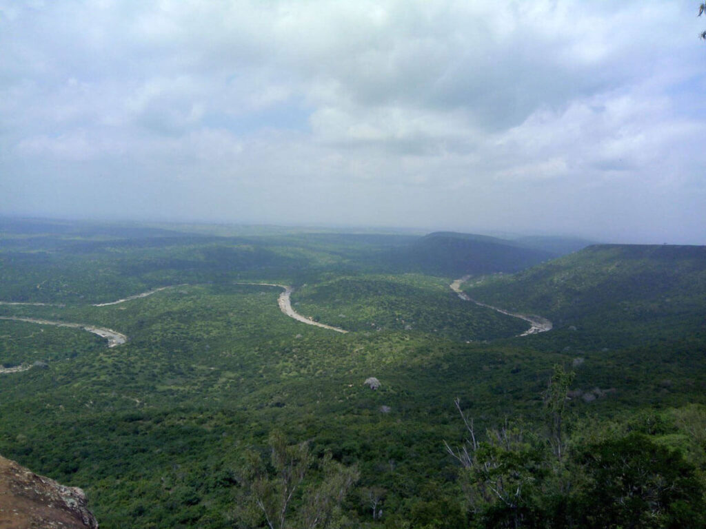 Shimba Hills National Reserve