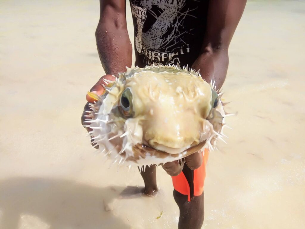 Watamu Marine National Park and Reserve