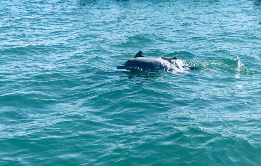 Watamu Marine National Park and Reserve