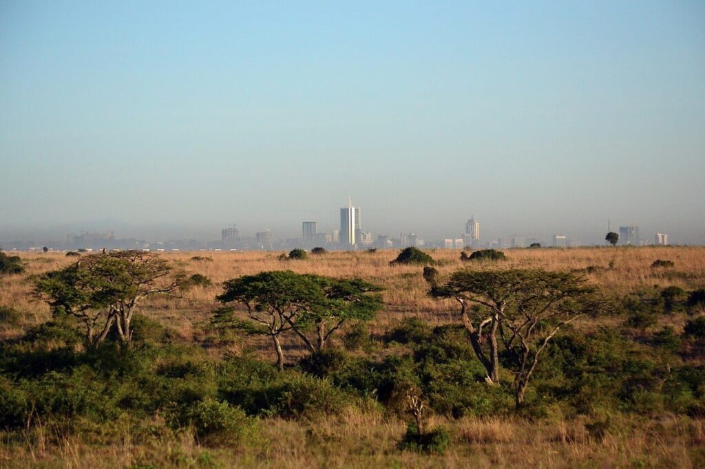 Zebras in Nairobi national park with Nairoby city