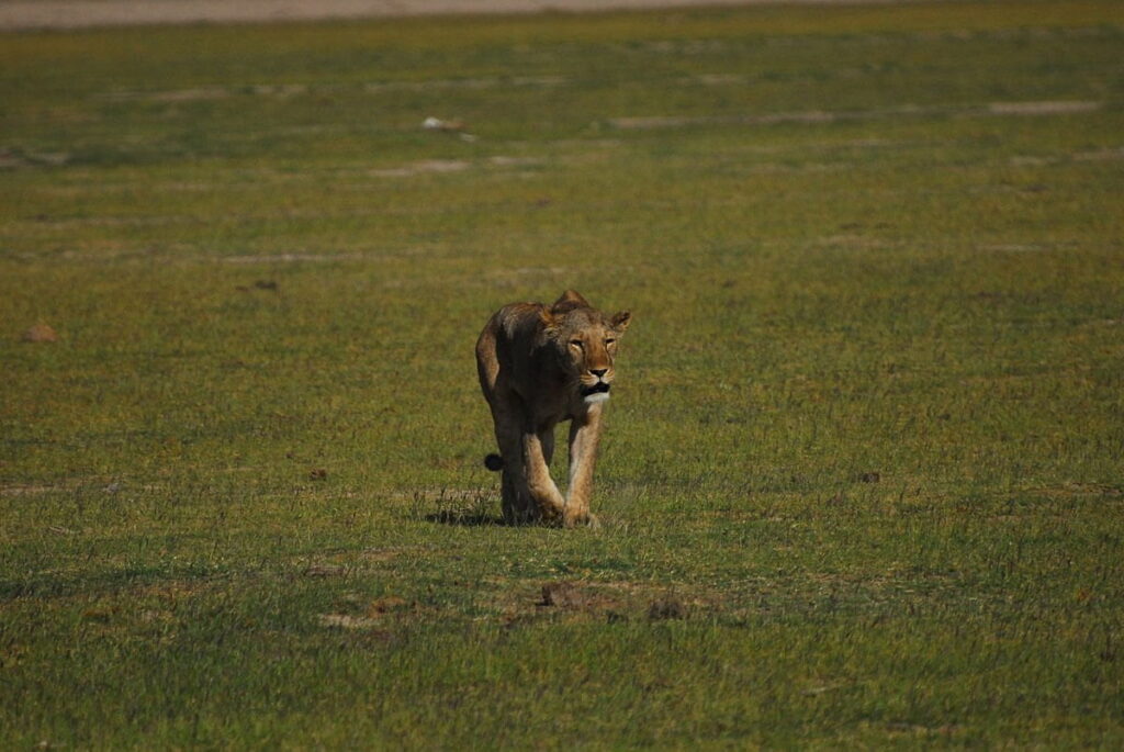Amboseli National Park