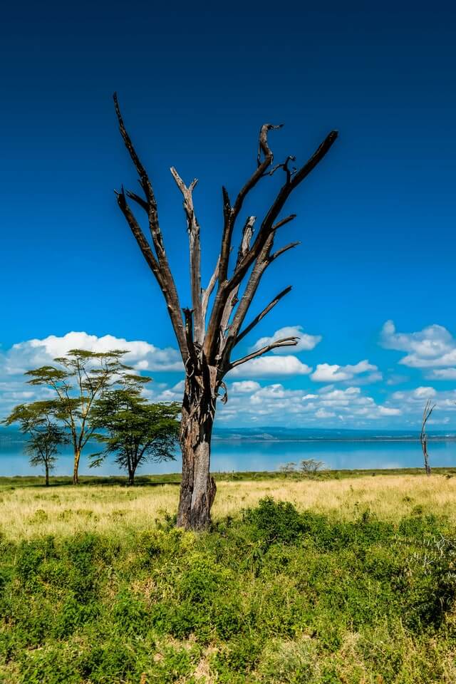Lake Nakuru National Park
