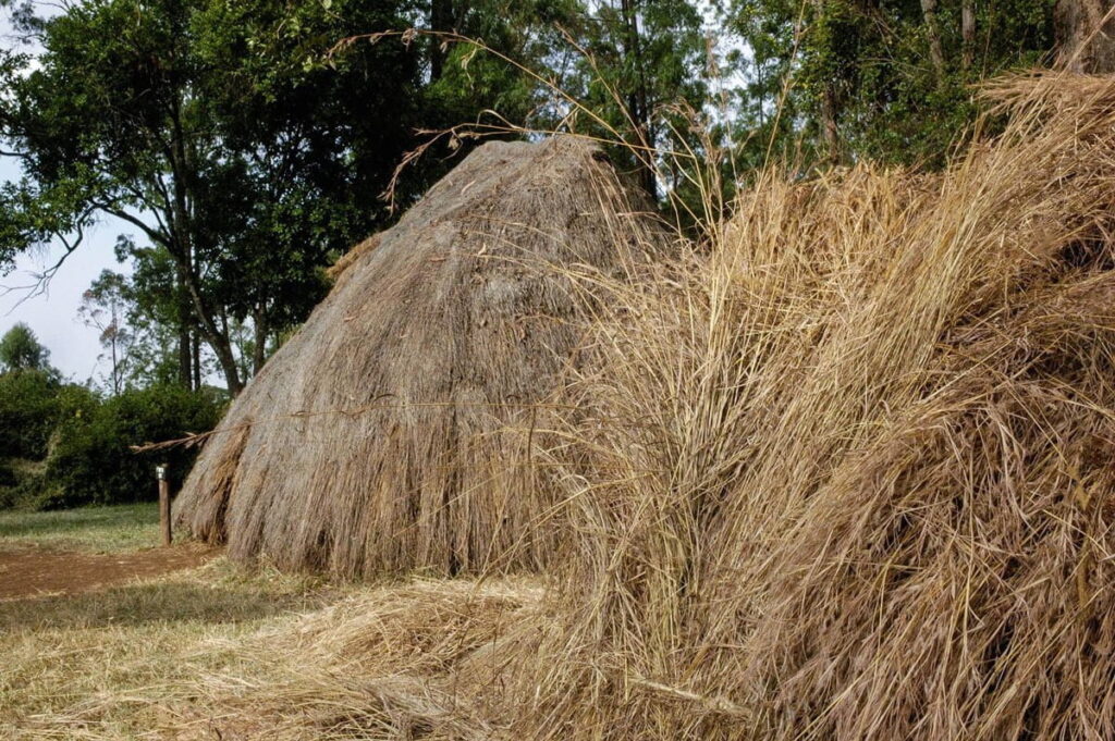 Mijikenda village at Bomas of Kenya near Nairobi