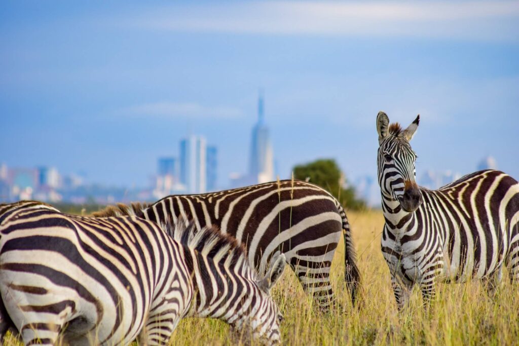 Nairobi National Park