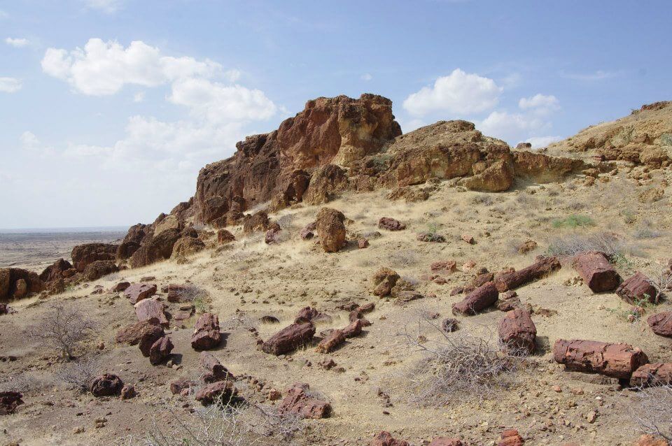 Petrified Forest Site, Sibiloi National Park