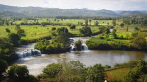 Njangwani Camp Sagana