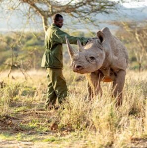 Rhino Ol Jogi Wildlife Conservancy