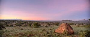 Sunset Rock Ol Jogi Wildlife Conservancy