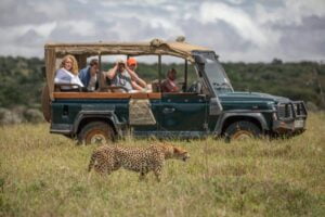 Wildlife Safari - Enasoit Camp