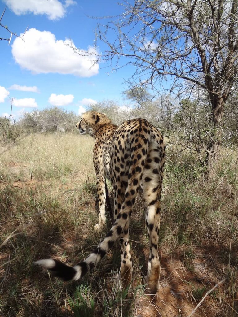 Morani Conservancy