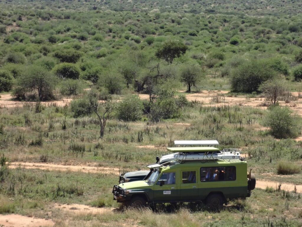 Morani Conservancy