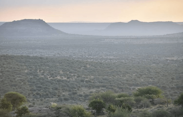 Morani Conservancy