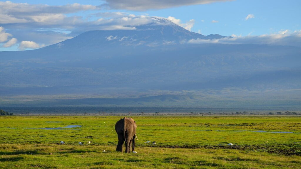 View of the Mount. Kilimanjaro and elephant in Amboseli National Park - Kenya ranked sixth most naturally beautiful country in the world