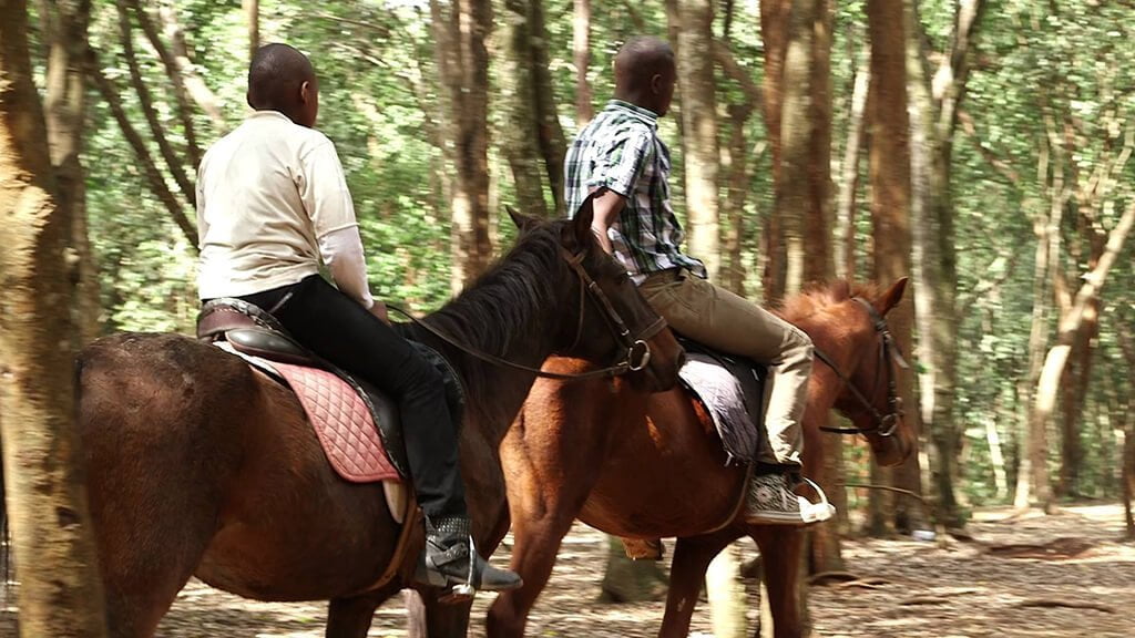 Achi’s Ranch and Horse Riding Club - best places to go horse riding in Nairobi