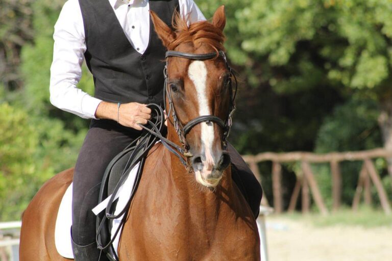Horse Riding in Nairobi, Kenya