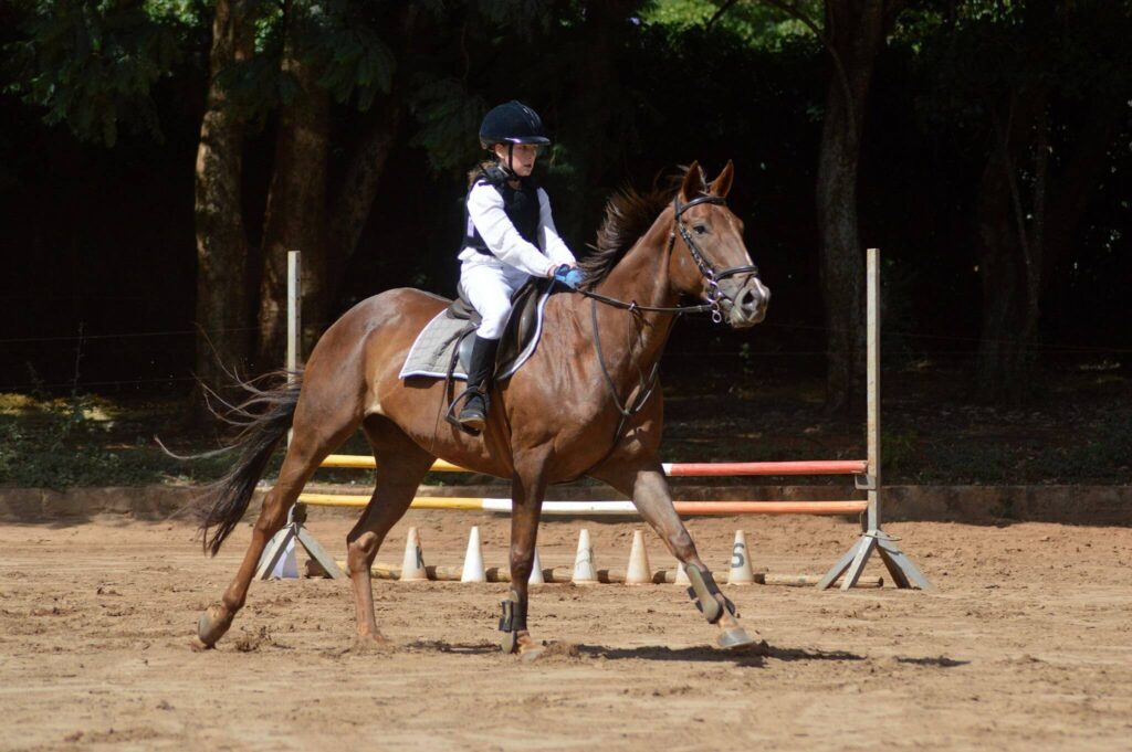 Malo Stables