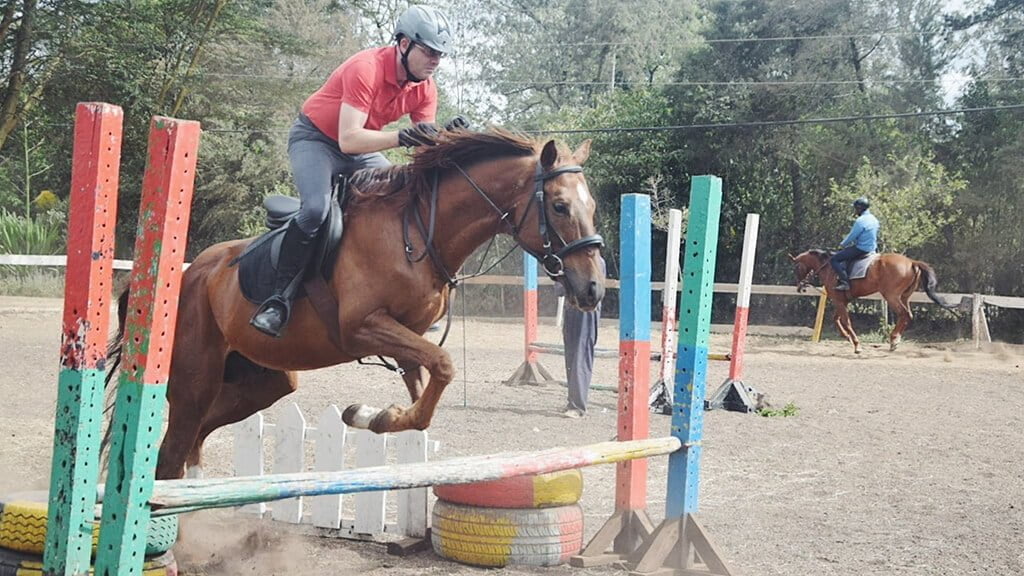 Hardy Stud - Horse Riding in Nairobi