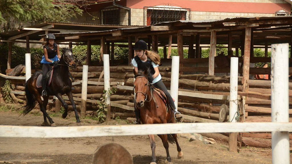 New Muthaiga Horse Riding Stables - Horse Riding in Nairobi