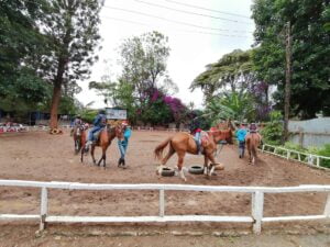 Xina Horse Riding School and Stables | ©Facebook