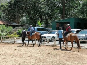 Xina Horse Riding School and Stables | ©Facebook