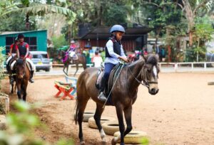 Xina Horse Riding School and Stables | ©Facebook