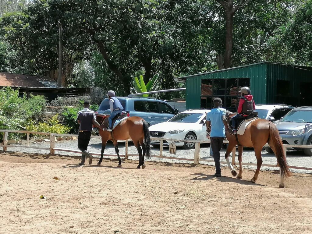 Xina Horse Riding School and Stables | ©Facebook