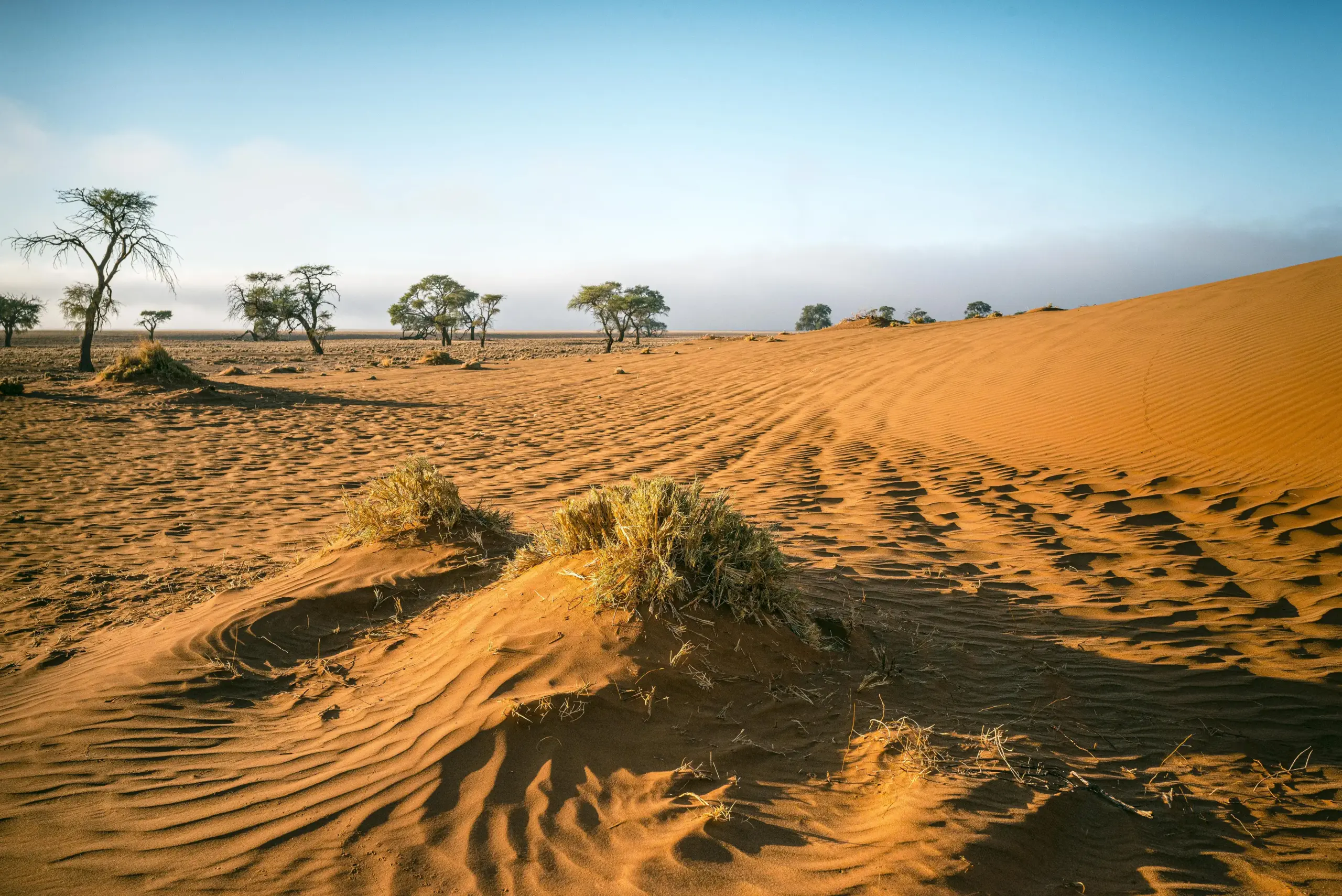 Deserts in Kenya A Journey Through Arid Beauty