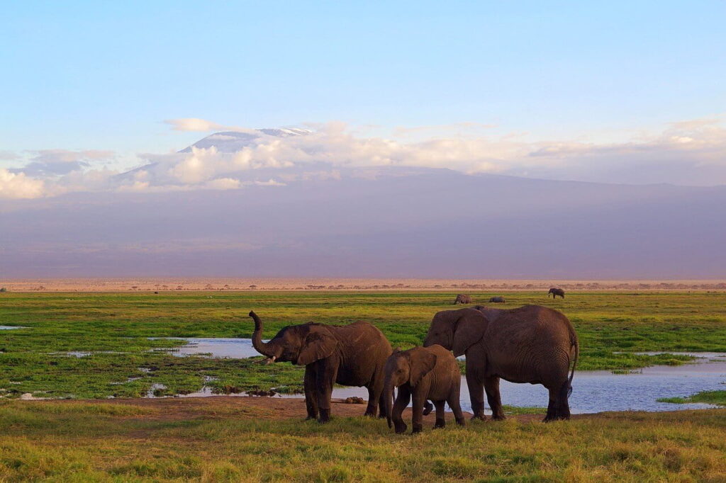 Amboseli-National-Park.jpg