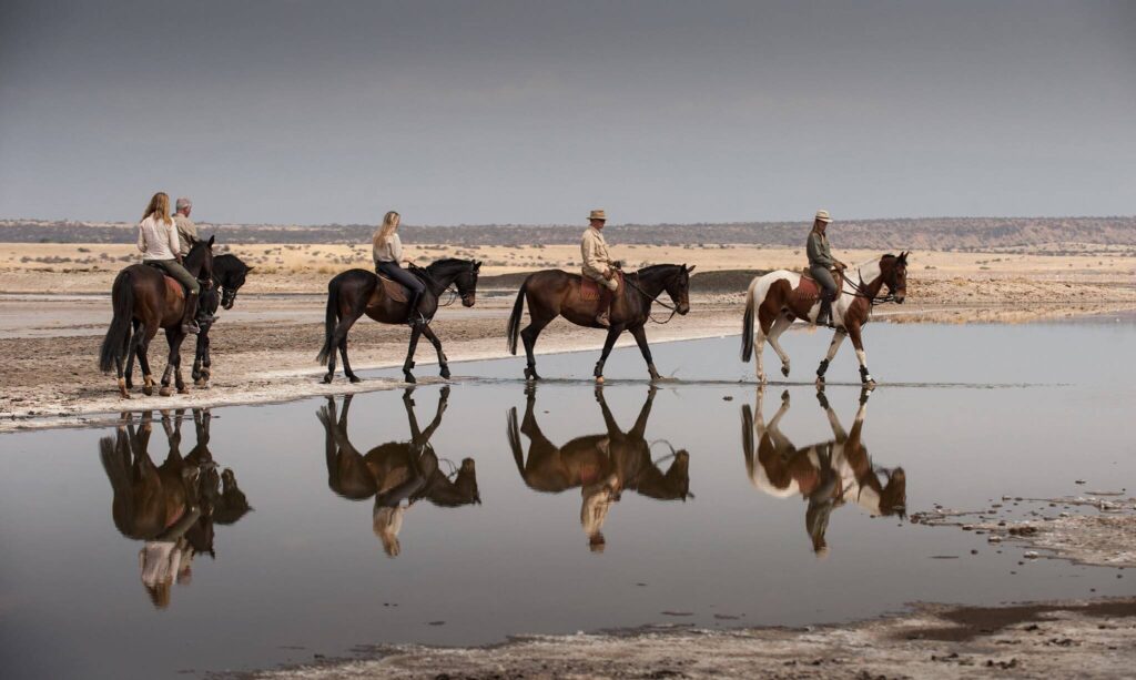 Malo-Stables-1-1.jpg