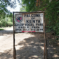Falconry-of-Kenya-Logo.png