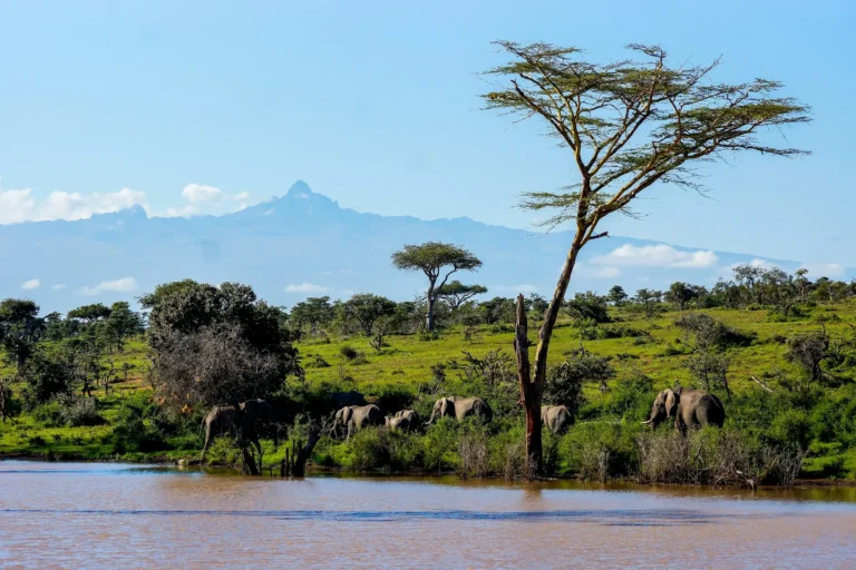 Here Goes Kenya Laikipia