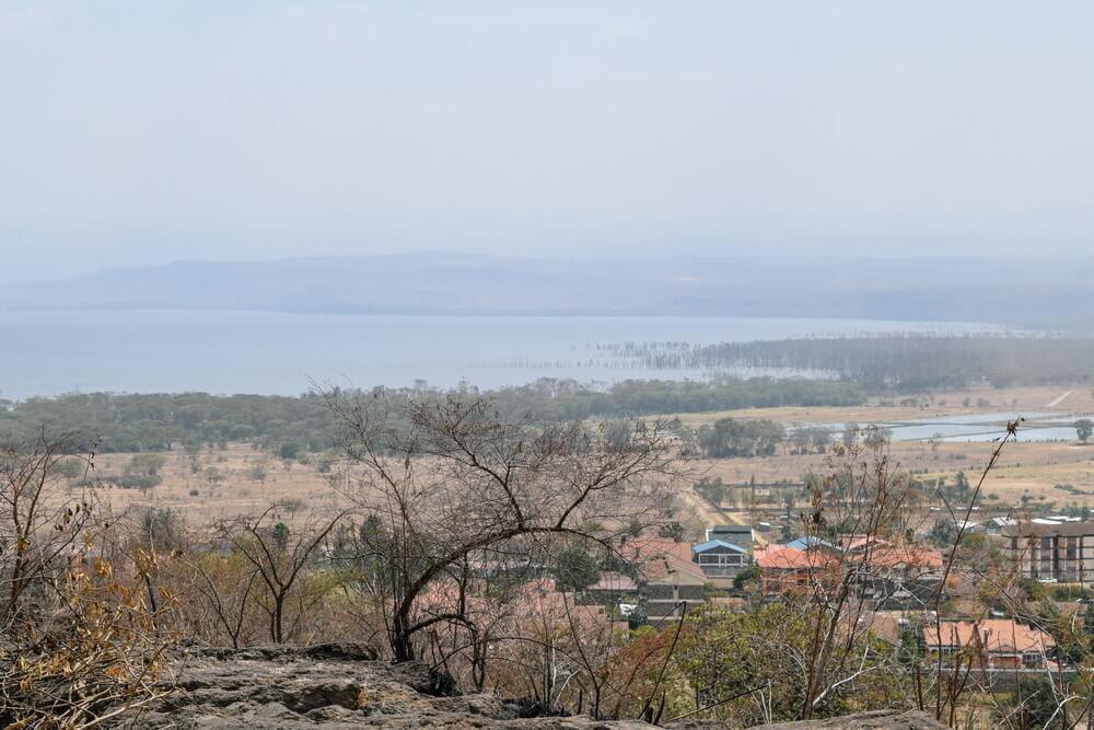 Hyrax-Hills-Nakuru.jpg