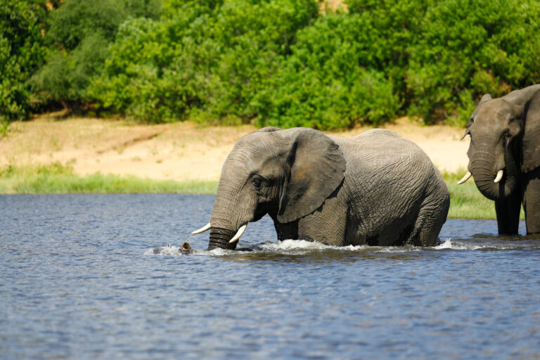 Kwale County
