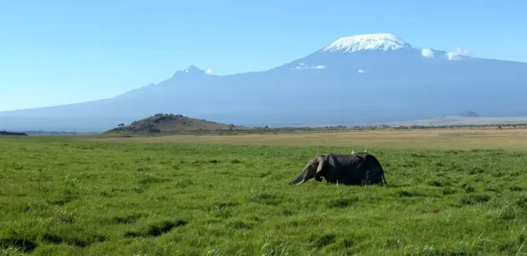Amboseli